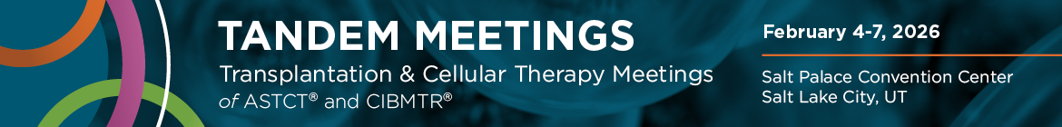 2026 Tandem Meetings Banner