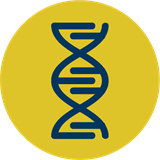 Bioinformatics Research Icon