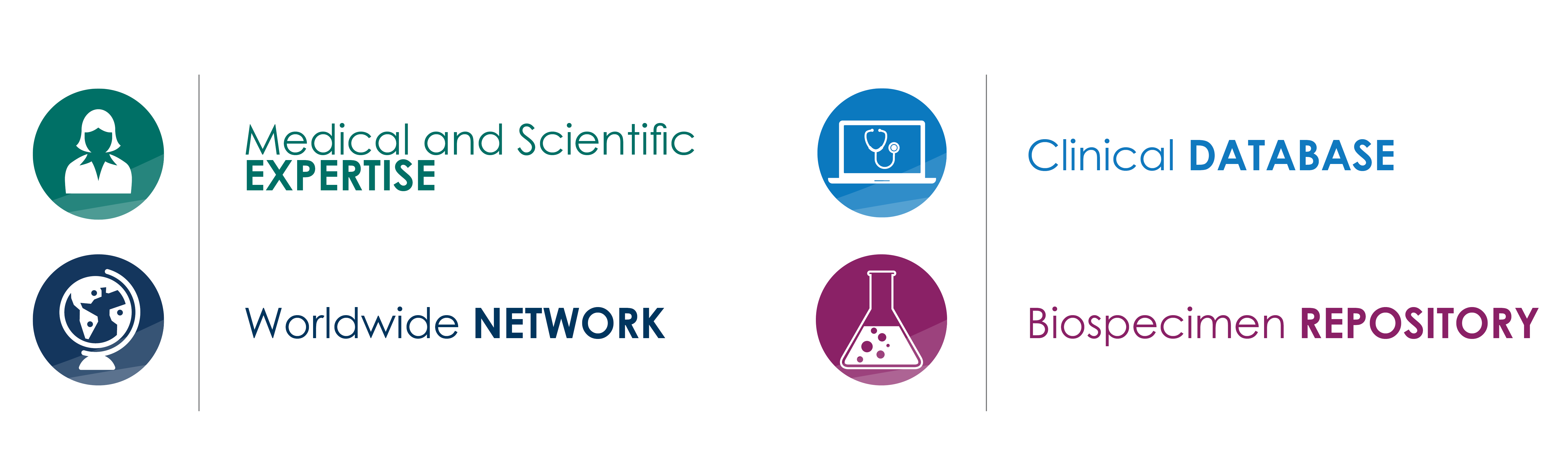 CIBMTR Focus Graphic