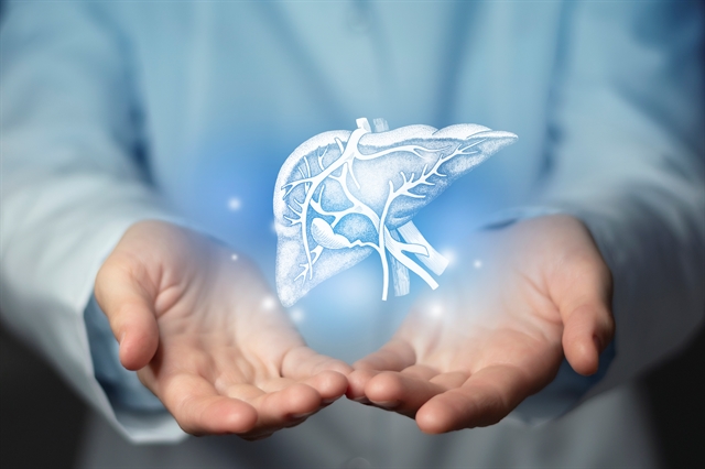 Hands Holding Liver Graphic